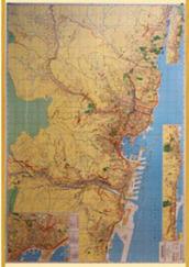 Genova con codici postali. Carta geografica stradale con aree codici postali (carta murale plastificata)