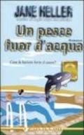 Un pesce fuor d'acqua