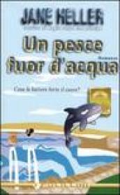 Un pesce fuor d'acqua