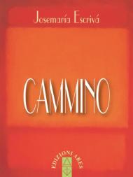 Cammino. Nuova ediz.