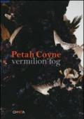 Peath Coyne. Vermilion Fog. Catalogo della mostra (New York, 24 ottobre-6 dicembre 2008)