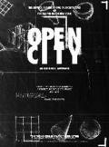 Diane Lewis: Open City: An Existential Approach