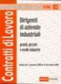 Dirigenti di aziende industriali. Grandi, piccole e medie industrie