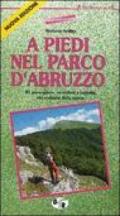 A piedi nel parco d'Abruzzo. 81 passeggiate, escursioni e trekking alla scoperta della natura