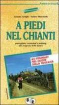 A piedi nel Chianti. 65 passeggiate, escursioni e trekking alla scoperta della natura