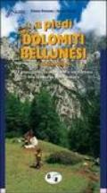 A piedi sulle Dolomiti bellunesi e l'Agordino. 77 passeggiate, escursioni e trekking alla scoperta della natura