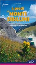 A piedi sui monti Sibillini. 81 passeggiate, escursioni e trekking alla scoperta della natura.