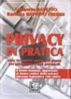 Privacy in pratica. Tutte le cautele punto per punto per proteggere i dati personali