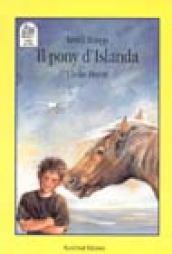 Il pony d'Islanda