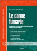 Le canne fumarie. Con CD-ROM