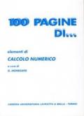 Cento pagine di elementi di calcolo numerico