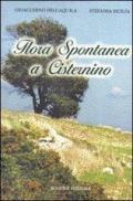 Flora spontanea a Cisternino