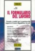 Il formulario del lavoro