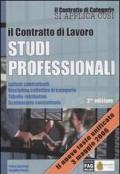 Il contratto di lavoro. Studi professionali