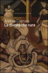 La divinità che cura. Percorsi di salute e malattia nel candomblé di Bahia