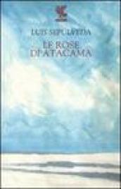 Le rose di Atacama