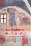 La Madonna del Boschetto. Arte medievale a Frossasco e dintorni