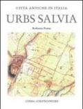 Urbs Salvia. Forma e urbanistica