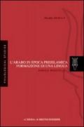 L'arabo in epoca preislamica: formazione di una lingua