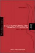 L'arabo in epoca preislamica: formazione di una lingua