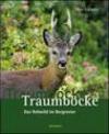 Traumbocke. Das Rehwild im Bergrevier