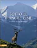 Sotto le bianche cime. A caccia in alta montagna