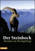 Der Steinbock Akrobat im Hochgebirge