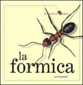 La formica