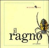 Il ragno. Ediz. illustrata