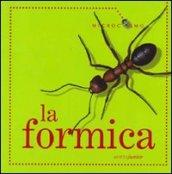 La formica