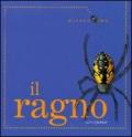 Il ragno