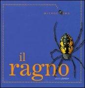 Il ragno