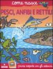 Pesci, anfibi e rettili. Con adesivi. Ediz. illustrata