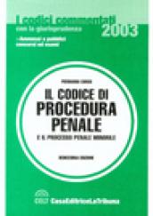 Il codice di procedura penale e il processo penale minorile commentati con la giurisprudenza