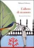 L'albero di sicomoro. Ediz. illustrata