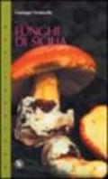 Funghi di Sicilia