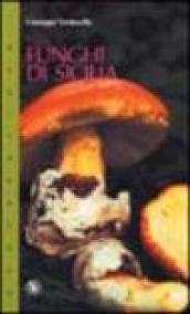 Funghi di Sicilia