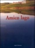 Amico lago