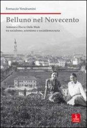 Belluno nel Novecento. Antonio e Flavio dalle Mule tra socialismo, azionismo e socialdemocrazia. Ediz. illustrata