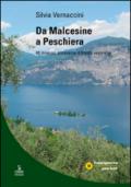 Da Malcesine a Peschiera. 40 itinerari attraverso il Garda veronese