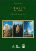 Il larice (El làres). L'albero che si veste d'oro