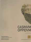 Casinum oppidum. Atti della Giornata di studi (Cassino, 8 ottobre 2004)