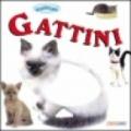 Gattini