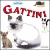 Gattini