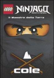 Il maestro della terra Cole. Lego Ninjago. Masters of Spinjitsu