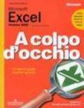 Microsoft Excel versione 2002
