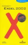 Microsoft Excel 2002