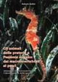 Gli animali delle praterie a Poseidonia oceanica: dai macroinvertebrati ai pesci