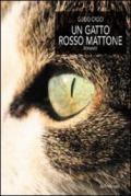 Un gatto rosso mattone