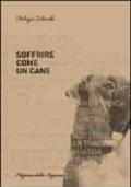 Soffrire come un cane